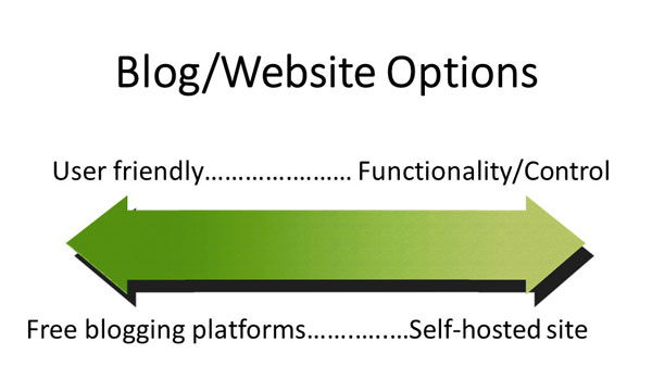 Website building platform options 